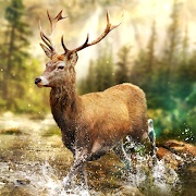 Hunting Clash MOD APK 4.16.1