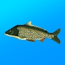 True Fishing APK 1.17.0.842 VIP, Unlimited Money, Unlocked All icon