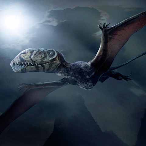 Dimorphodon Simulator 1.1.7 MOD VIP, Lots of Money APK icon