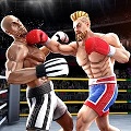 Tag Team Boxing Game 9.5  Vô Hạn Vàng, Mở Khóa Nhân Vật, Xóa Bỏ Quảng Cáo