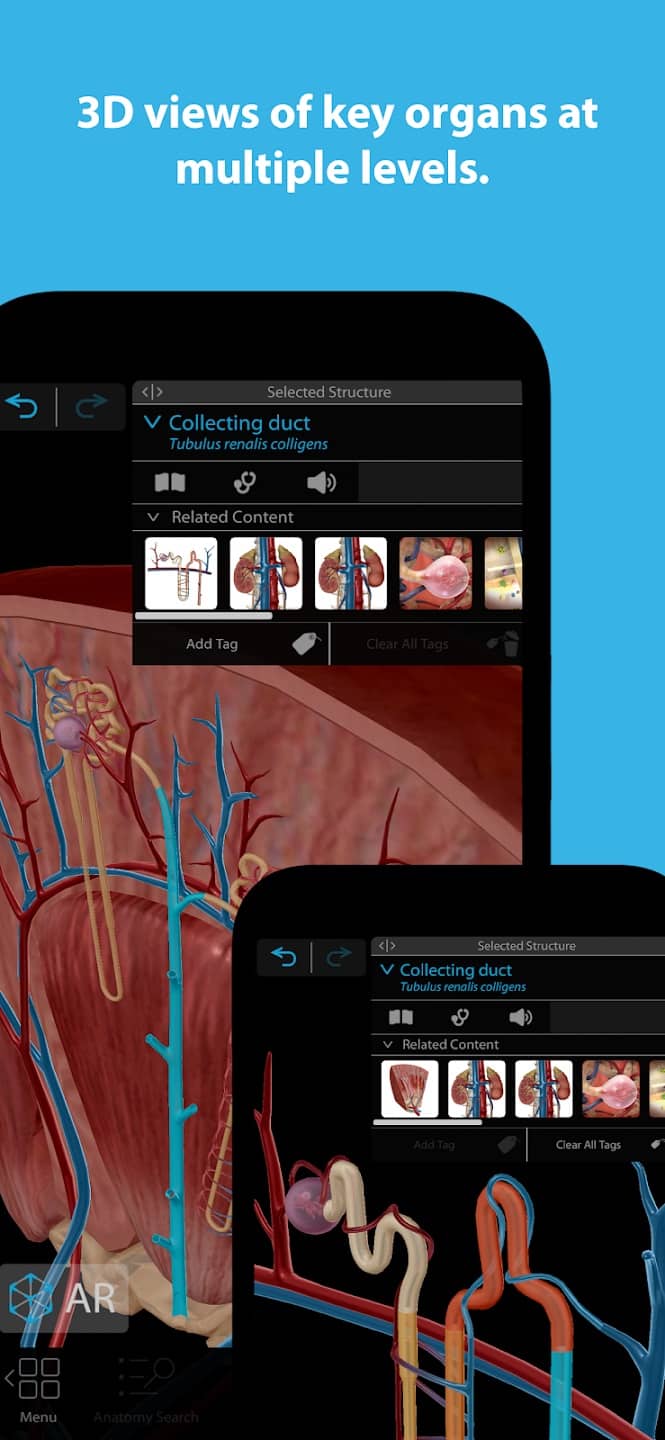 human-anatomy-atlas-2023-mod-android