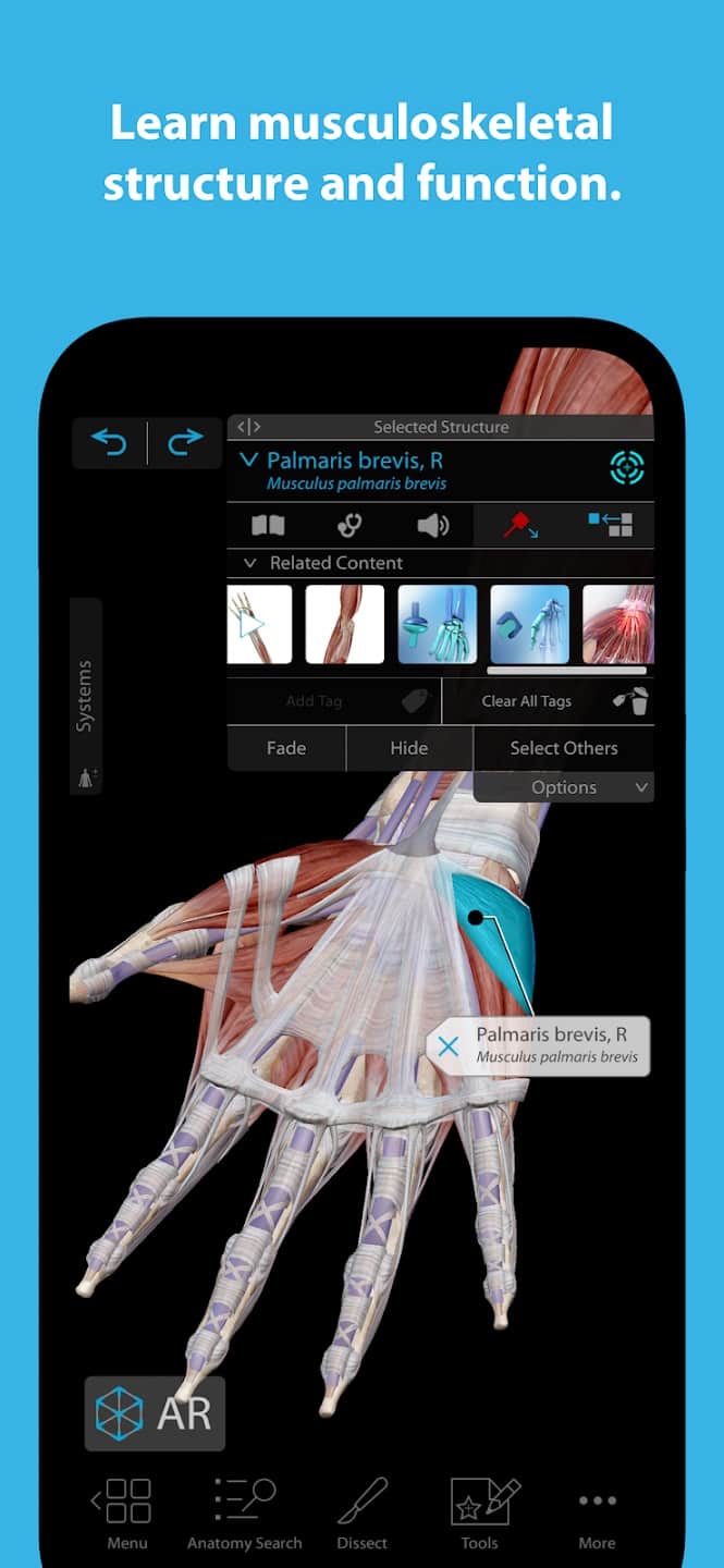 human-anatomy-atlas-2023-mod/