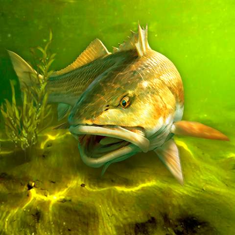 Tải My Fishing World 1.15.109 MOD Menu VIP, Rất Nhiều Tiền, Mua Sắm 0Đ, APK icon